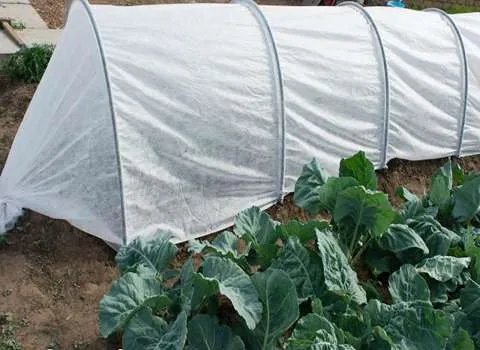 خرید و قیمت انواع نایلون گلخانه ای ارومیه