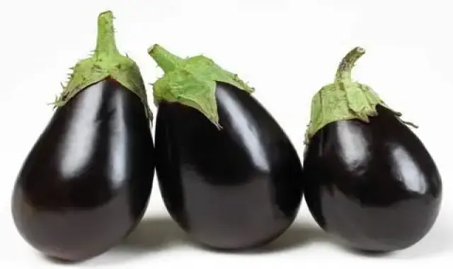 بادمجان لامپی فضای باز همراه با توضیحات کامل و آشنایی