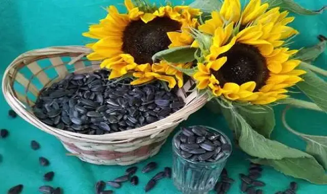 تخمه کدو برای پروستات؛ تقویت گوارش خشکبار مواد مغذی منیزیم آهن فیبر