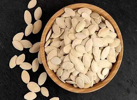 قیمت خرید تخمه کدو آجیلی شور + کیلویی درجه یک ، عمده ارزان