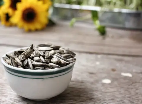 قیمت هر کیلو تخمه آفتابگردان خام چند است + قیمت خرید