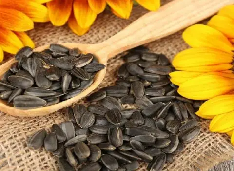 قیمت تخمه آفتابگردان امروز