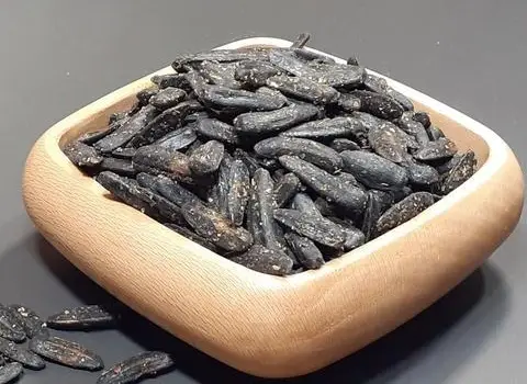 خرید تخمه آفتابگردان شمشیری خام با قیمت استثنایی