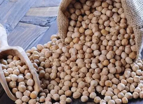 نخود سفید کرمانشاه صادراتی | خرید با قیمت ارزان