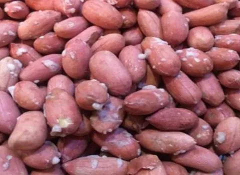 بادام زمینی | خرید انواع بادام زمینی ریز،روکش دار،خام مناسب همه سنین