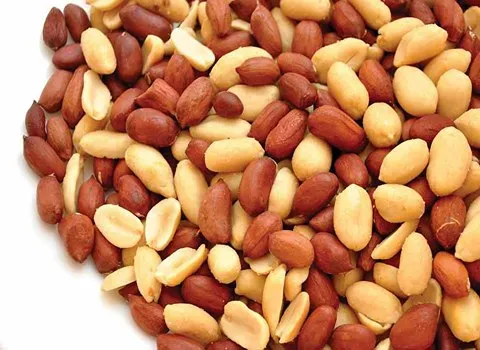 بادام زمینی بو داده بدون نمک؛ خشکبار تغذیه عالی روکشدار ویتامین کالری peanut