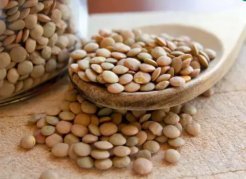 قیمت عدس کیلویی فله ای