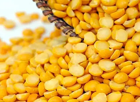 قیمت لپه باقالا زرد + مشخصات بسته بندی عمده و ارزان