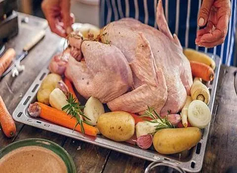 خرید انواع گوشت بوقلمون با بهترین قیمت