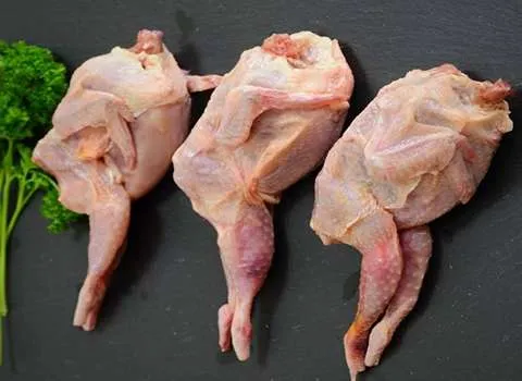 گوشت بلدرچین برای تب؛ رنگ روشن شفاف خوش پخت مناسب افراد کم خون Protein