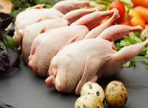 گوشت بلدرچین فشار خون؛ استحکام استخوان رنگ روشن بهبود ضعف اعصاب فسفر Iron