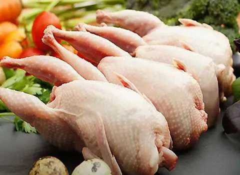 گوشت بلدرچین کرمان؛ درمان کم خونی آلزایمر تقویت استخوان حاوی Calcium