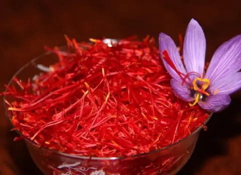 زعفران کیلویی امروز Saffron ضد سرطان خونساز کاهش مشکلات تنفسی
