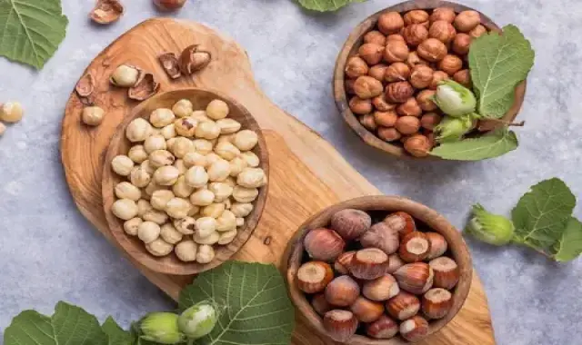 فندق خام در بازار؛ مغز شده با پوست مناسب کودکان ورزشکاران Hazelnut