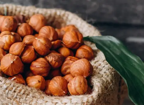 مغز فندق کیلویی؛ بارسلونا باتلر فله بسته بندی فیبر Protein