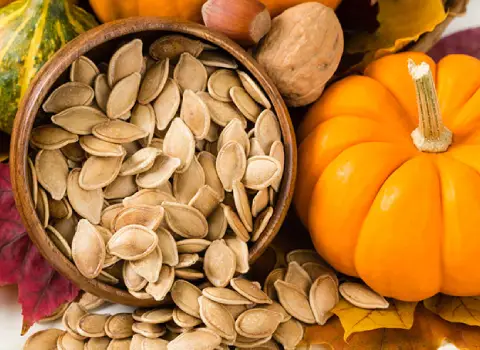 خرید مستقیم تخمه کدو حلوایی + قیمت فروش کارخانه