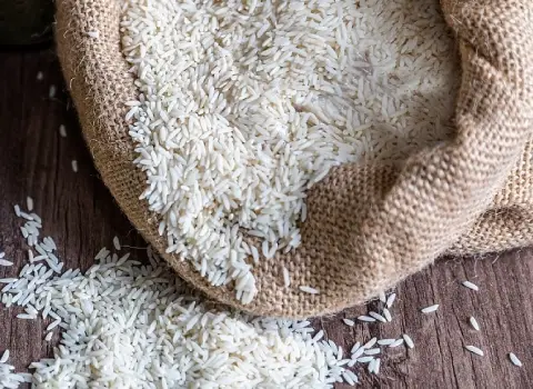 خرید انواع برنج ایرانی ارگانیک + قیمت