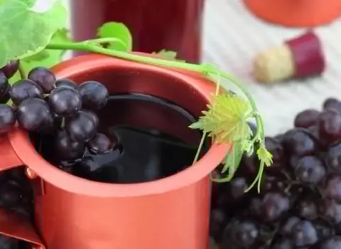 شیره انگور فخری؛ خونساز انرژی زا تهیه شربت حلوا صد گرم 329 کالری