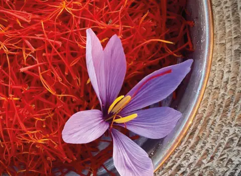 زعفران جهاد کشاورزی؛ رنگ دهی بالا کاروتنوئید خشک Red