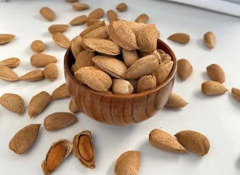 قیمت بادام درختی غلاف دار