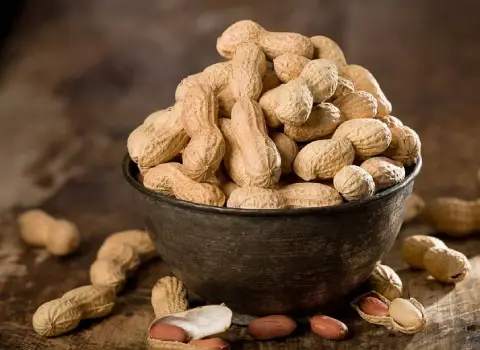 بادام زمینی غلاف دار (کوهی) شور خام ارگانیک ضد سرطان