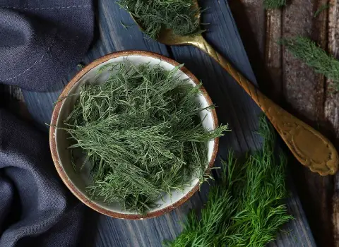 قیمت شوید خشک در بسته بندی های فله و عمده