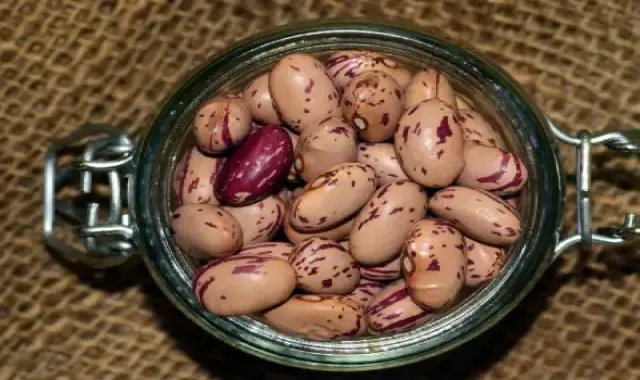 خرید و قیمت لوبیا چیتی گلستان مقدار 900 گرم