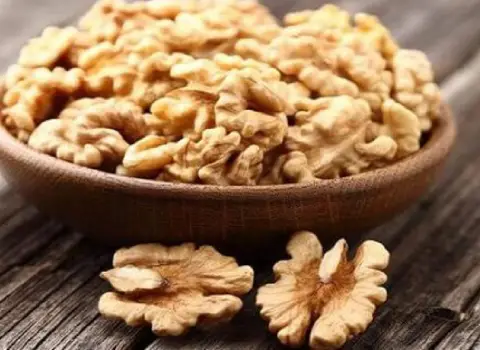 قیمت خرید گردو سفید + مزایا و معایب