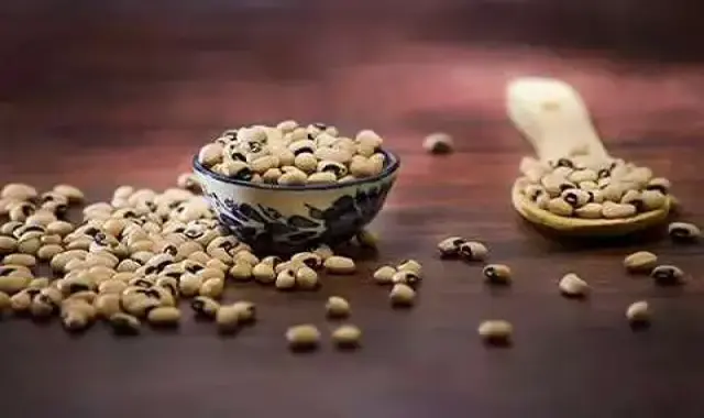 راهنمای خرید لوبیا چشم بلبلی خشک با شرایط ویژه و قیمت استثنایی