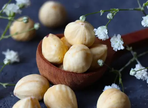 قیمت مغز فندق بسته بندی از تولید به مصرف