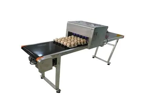 مناسب ترین قیمت دستگاه جت پرینتر تخم مرغ