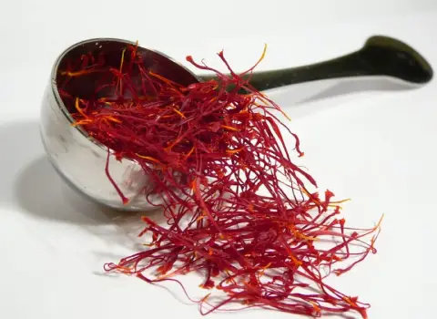 راهنمای خرید زعفران خراسان با شرایط ویژه و قیمت استثنایی