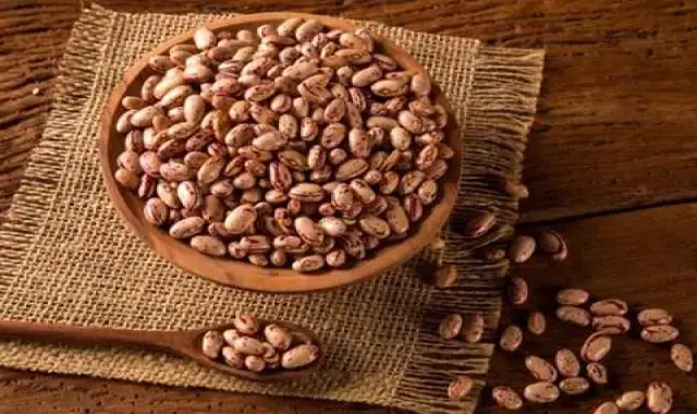 لوبیا چیتی تازه با پوست فله ای و ارزان قیمت در شمال کد 82