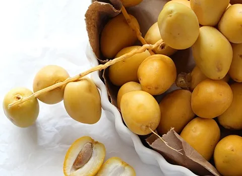 خرما خارک برحی؛ خشک رفع گرسنگی تشکیل میکروفلور طلایی