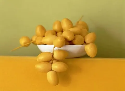 راهنمای خرید خرما خارک برحی + قیمت عالی
