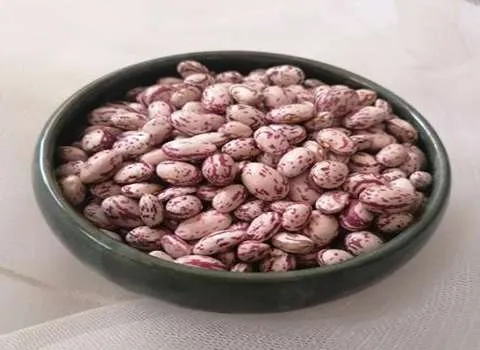 لوبیا چیتی قورمه سبزی همراه با توضیحات کامل و آشنایی