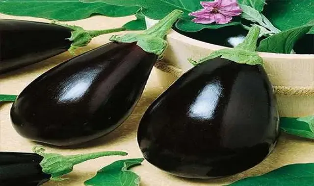 قیمت و خرید بادمجان دلمه ای سیاه با مشخصات کامل