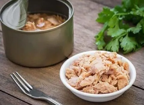 کنسرو تن ماهی شیلتون؛ دودی سبزیجات آب نمک 180 گرم Shilton