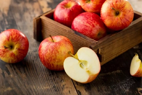 راهنمای خرید سیب درختی صادراتی + قیمت عالی