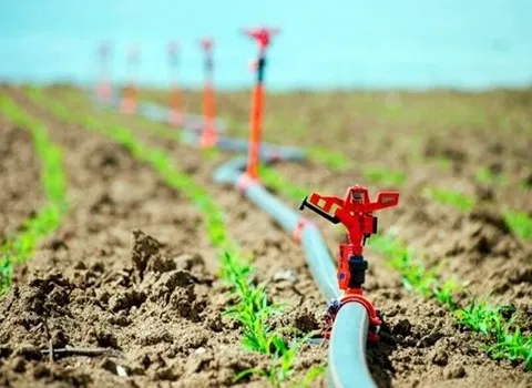 لوله آب برای آبیاری قطره ای؛ پلی اتیلن مقاومت بالا + نصب آسان