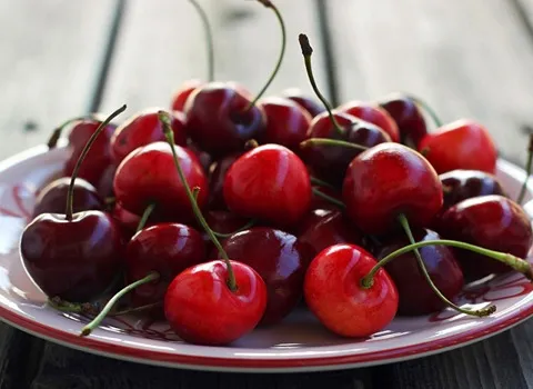 خرید گیلاس تک دانه سالم