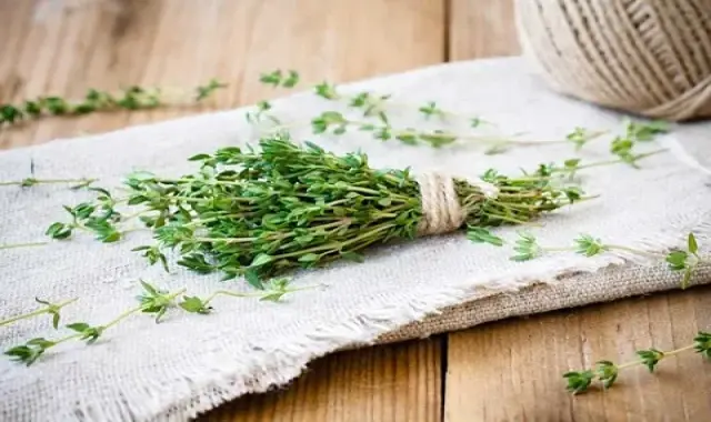 آویشن کوهی خشک؛ رفع بوی بد دهان پیشگیری التهاب لثه فشار خون طبع (گرم)