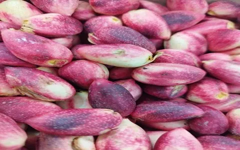 مغز پسته قرمز؛ ماندگاری بالا کاربرد (شیرینی گز باقلوا)