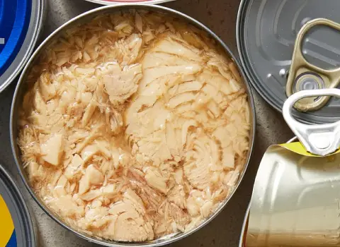 قیمت کنسرو تن ماهی شبنم + پخش تولیدی عمده کارخانه