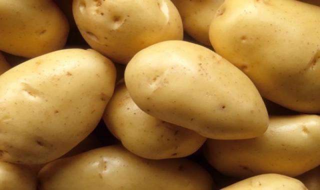 دلایل ممنوعیت صادرات سیب زمینی