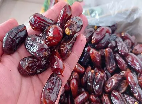 قیمت خرید خرما ربی سراوان + عکس