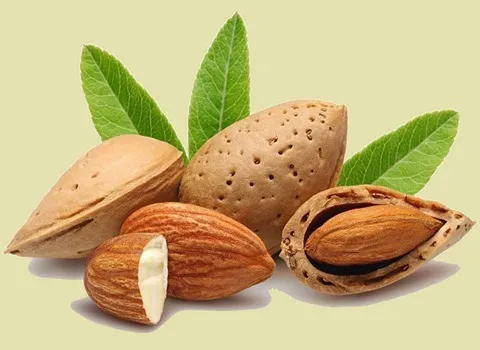 قیمت بادام سنگی با پوست