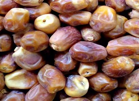 خرید و قیمت انواع خرما زاهدی بم