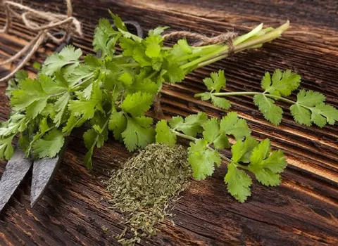 سبزی خشک گشنیز؛ تقویت سیستم ایمنی افزایش اشتها (50 500) گرمی