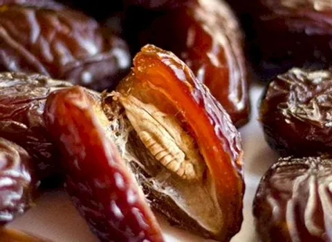 بهترین مرجع فروش خرما زاهدی شیراز